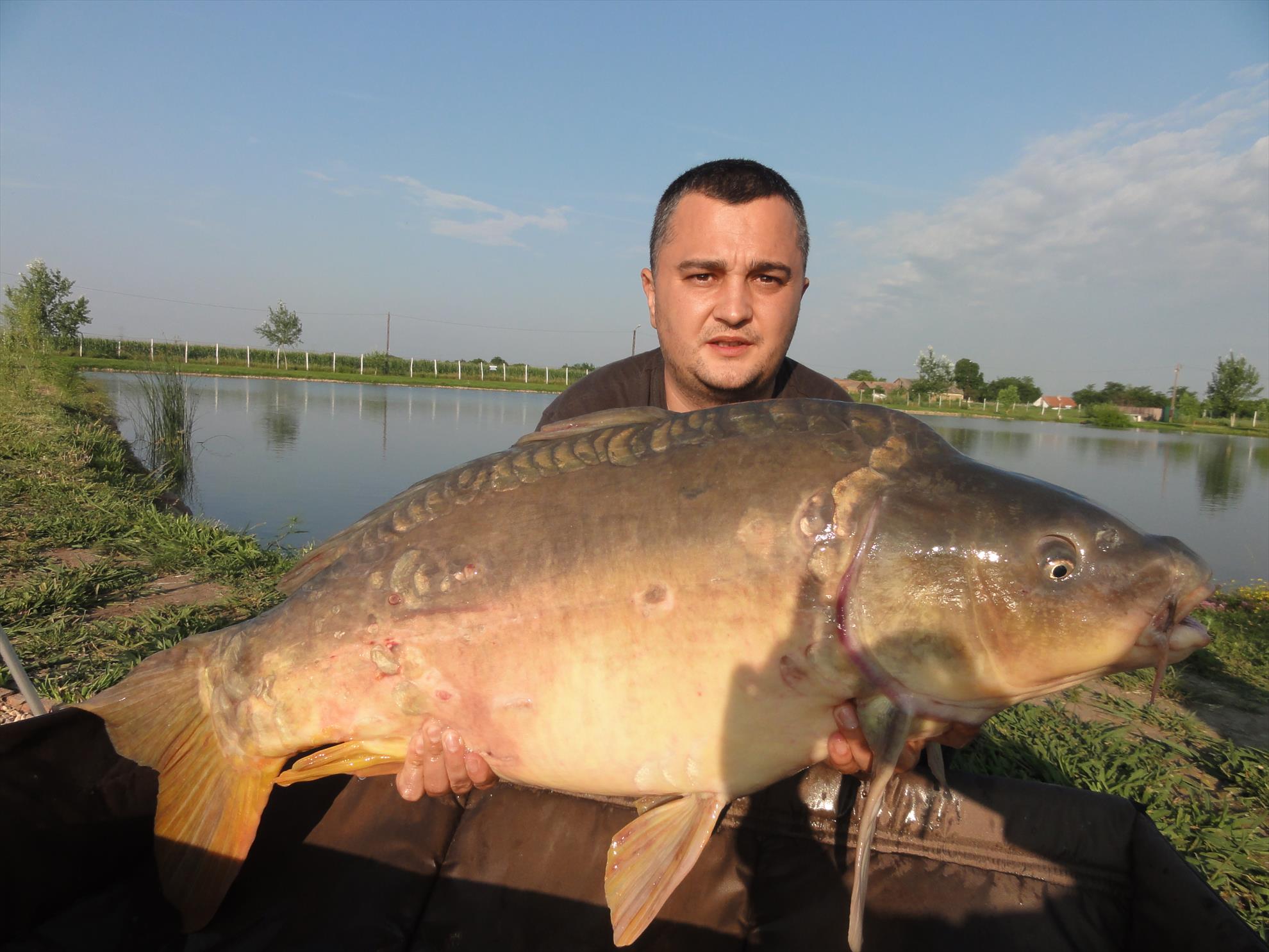 Iunie 2013 - Siclau - iunie 2013